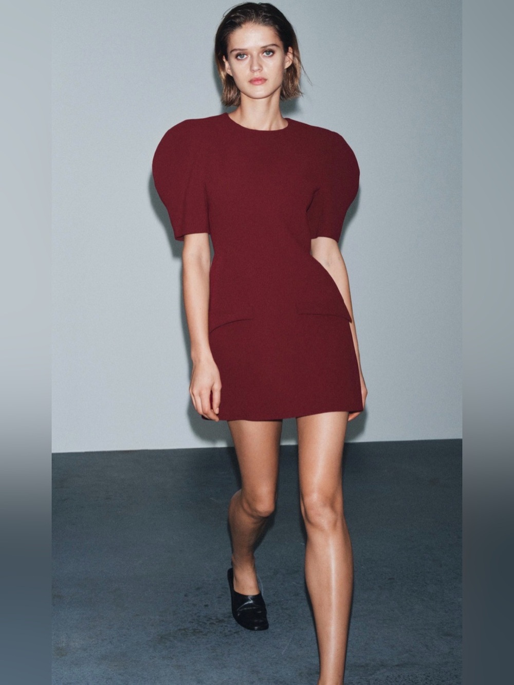 Zara ZW Collection Burgundy Sculptural Puff Sleeve Mini Dress L